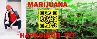 крисы Кандалакша