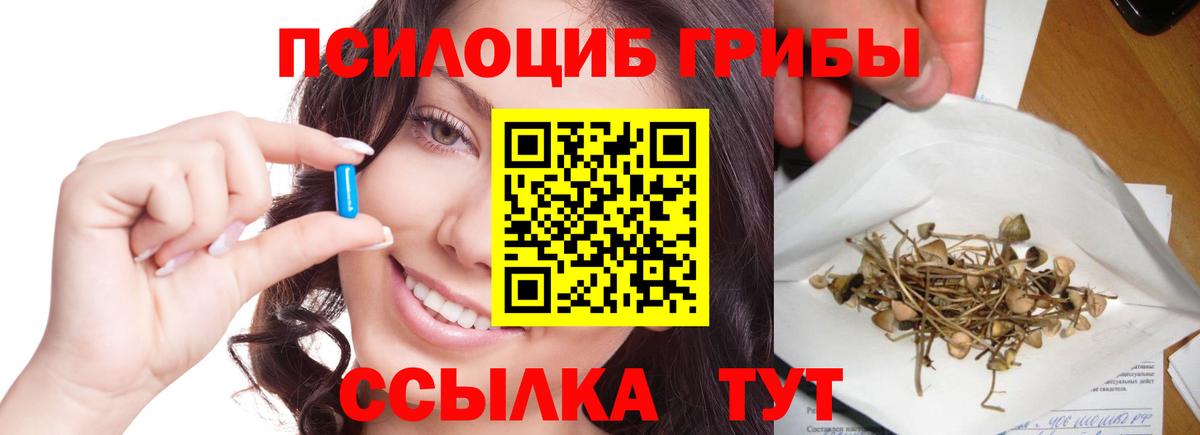 Галлюциногенные грибы GOLDEN TEACHER  Псилоцибиновые грибы Psilocybe  Вход с VPN  Кохма 