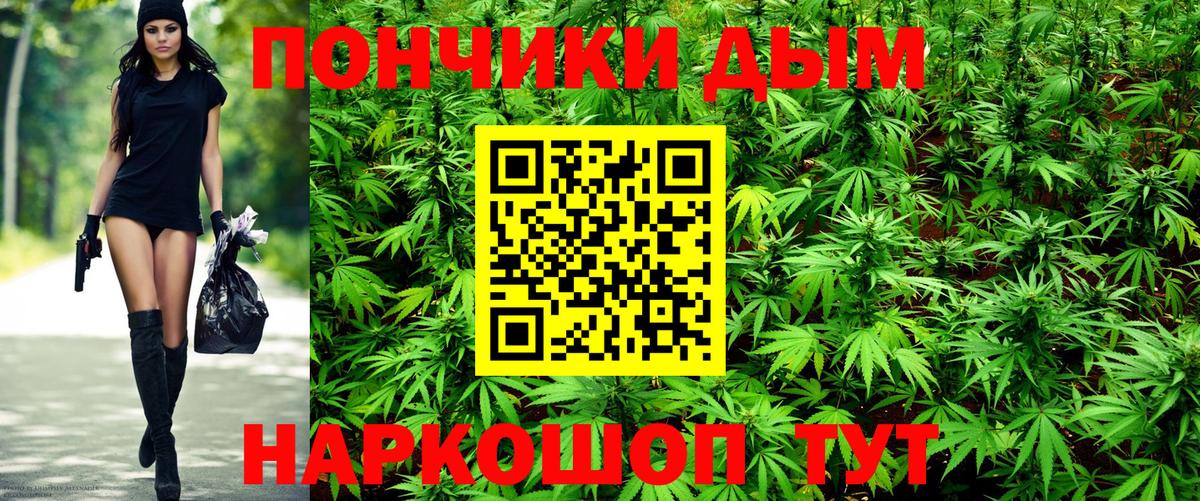 Кохма  Бошки марихуана тримм  Вход с VPN  Шишки марихуана семена  МАРИХУАНА сатива 